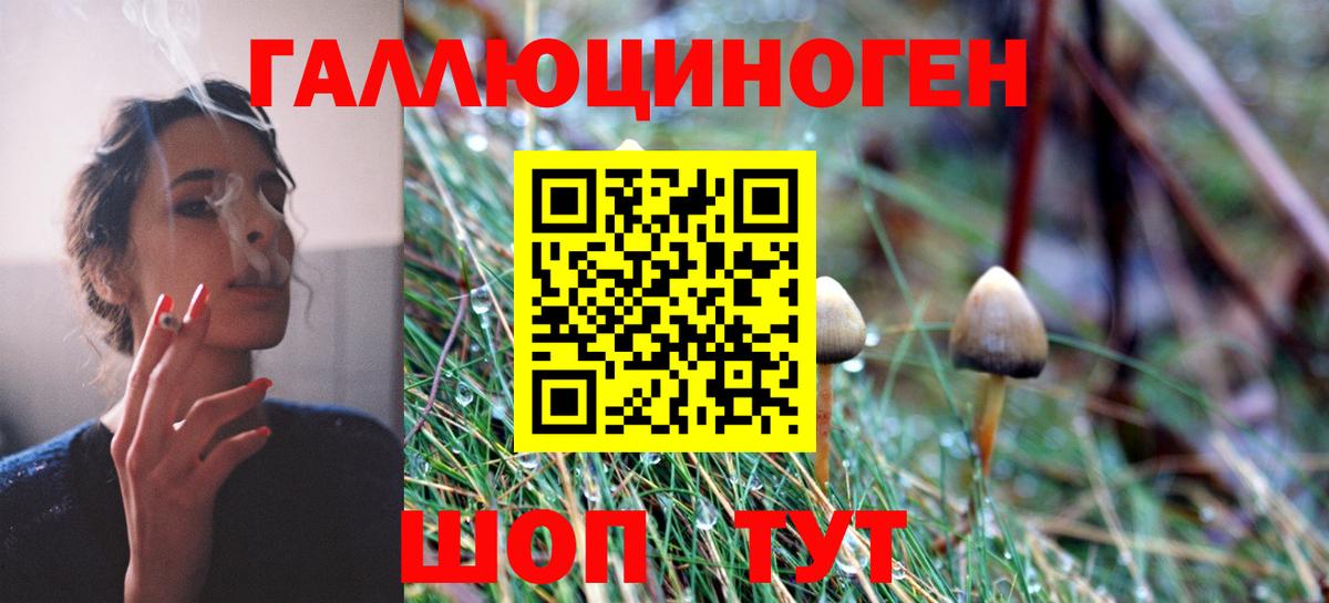 сколько стоит  Псилоцибиновые грибы Psilocybe  Вход с VPN  Донецк 